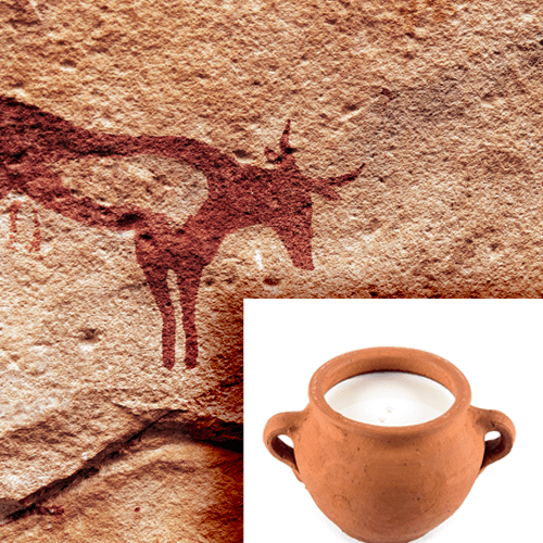 ancestors drank milk